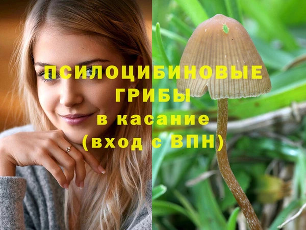 стафф Бронницы